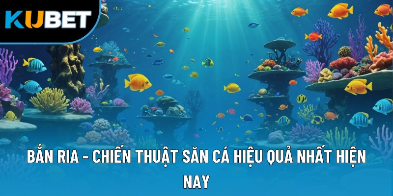 Bắn ria - Chiến thuật săn cá hiệu quả nhất hiện nay