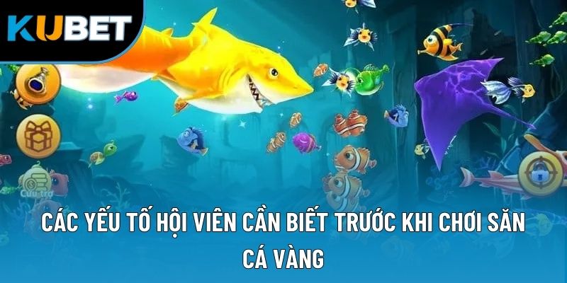 Các yếu tố hội viên cần biết trước khi chơi săn cá vàng