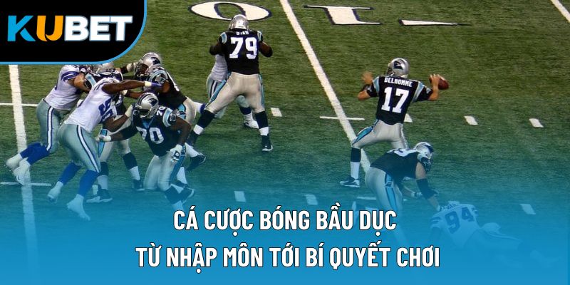 Cá Cược Bóng Bầu Dục | Từ Nhập Môn Tới Bí Quyết Chơi 7 Cá Cược Bóng Bầu Dục | Từ Nhập Môn Tới Bí Quyết Chơi