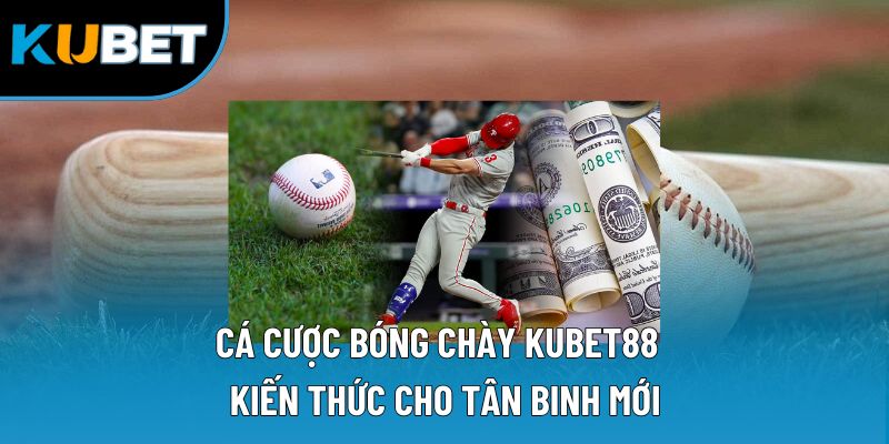 Cá Cược Bóng Chày Kubet88 | Kiến Thức Cho Tân Binh Mới 6 Cá Cược Bóng Chày Kubet88 | Kiến Thức Cho Tân Binh Mới