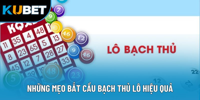 Mẹo Soi Cầu Bạch Thủ Lô - Dự Đoán Và Kiếm Thưởng Dễ Dàng 3 Những mẹo bắt cầu bạch thủ lô hiệu quả