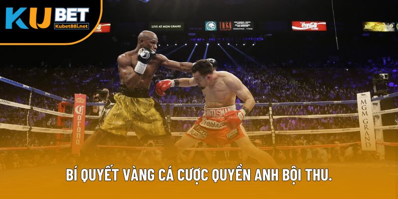 Bí quyết vàng cá cược quyền Anh bội thu.