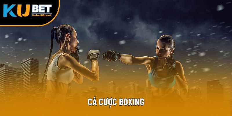 Cá Cược Boxing: Bí Quyết Thắng Lớn Bet Thủ Không Thể Bỏ Qua 2 Cá Cược Boxing: Bí Quyết Thắng Lớn Bet Thủ Không Thể Bỏ Qua