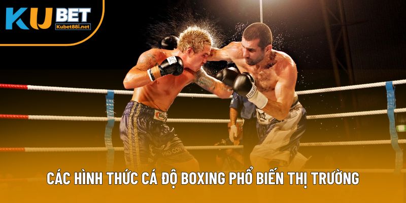 Các hình thức cá độ boxing phổ biến thị trường
