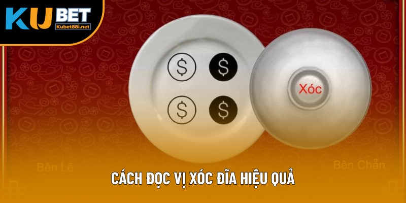 Cách Đọc Vị Xóc Đĩa Hiệu Quả Mà Người Chơi Cần Biết Năm 2025 2 Cách Đọc Vị Xóc Đĩa Hiệu Quả Mà Người Chơi Cần Biết Năm 2025