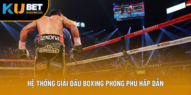 Hệ thống giải đấu boxing phong phú hấp dẫn